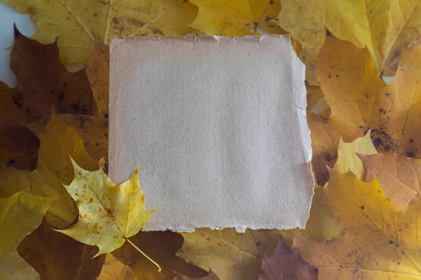istock Autumn Leaves on the Old Paper sheet isolated on white 1356946481