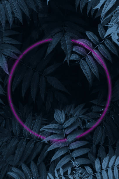 istock Nature background with leaves in dark blue mode with neon frame. 1356948915