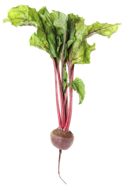 istock Raw ripe beet with leaves isolated on white 1356949564