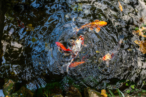 istock Beauty of nature 1356949800