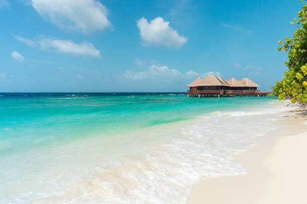 istock Idyllic beach scene in Maldives 1356956517