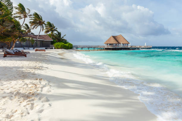 istock Idyllic beach scene in Maldives 1356956544