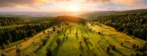 Aerial landscape panorama after sunrise Aerial landscape panorama after sunrise: gorgeous scenery with the sun, trees on meadows in warm light casting long shadows, surrounded by forests nature reserve photos stock pictures, royalty-free photos & images
