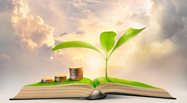 pila di denaro con la pianta che cresce sopra un libro. finanza, ambiente, conoscenza e concetto di business sostenibile - green economy foto e immagini stock