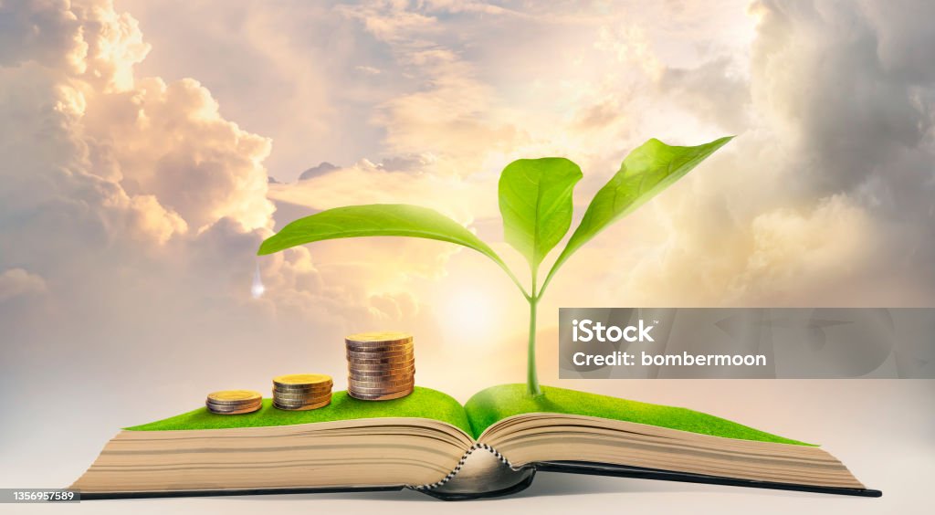 money stack with the plant growing on top of a book. finance, environment, knowledge, and sustainable business concept Sustainable Business Stock Photo