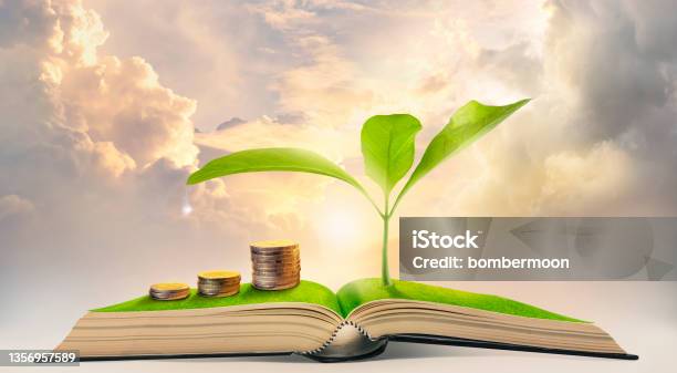Money Stack With The Plant Growing On Top Of A Book Finance Environment Knowledge And Sustainable Business Concept Stock Photo - Download Image Now