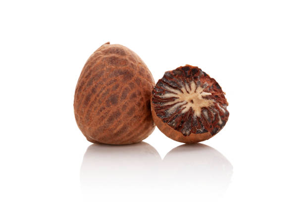 istock Betel nut isolated on white background. 1356958238