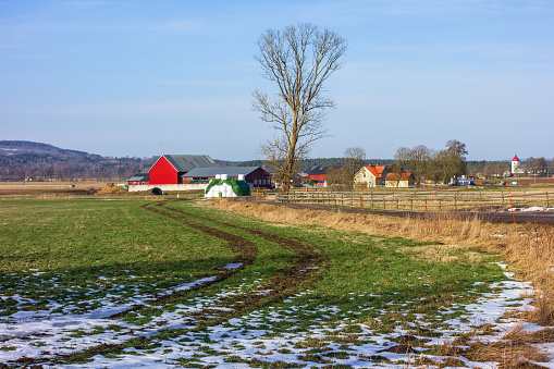 Rural landscape view at a farm on a field