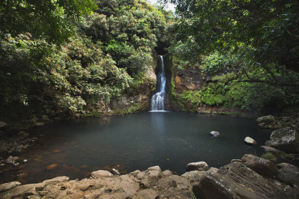 istock Waterfall on the island of Mauritius 1356964277