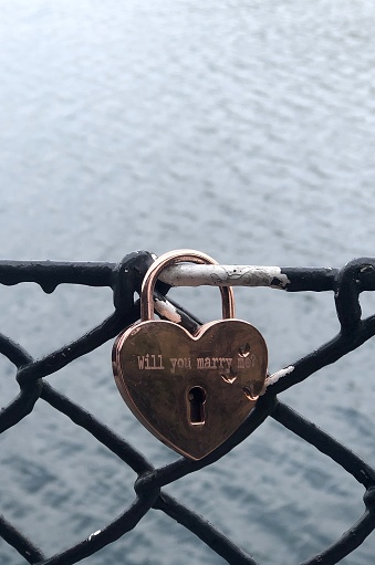 Close-up of a lock with a chain that closes a metal gate during the day