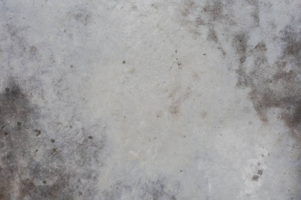 istock Grey cracked concrete grunge background textured wall. Copy space abstract cement design 1356973121