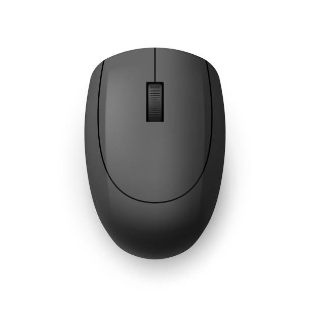 Mouse Top View 170+ Mouse Top View Isolated Illustrations, Royalty-Free Vector ...