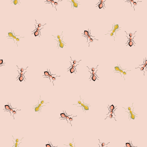 illustrations, cliparts, dessins animés et icônes de fourmis de colonie à motif sans couture sur fond rose pastel. modèle d’insectes vecteurs dans un style plat pour n’importe quel but. texture d’animaux modernes. - colonie danimaux