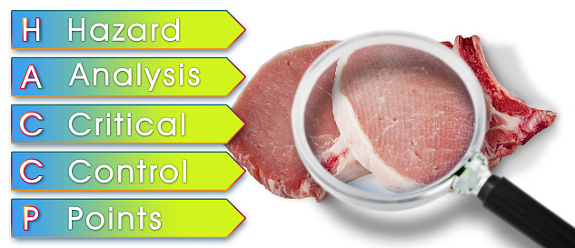 Fresh pork steak HACCP (Hazard Analysis and Critical Control Points) concept with image seen through a magnifying glass - Food Safety and Quality Control in food industry.