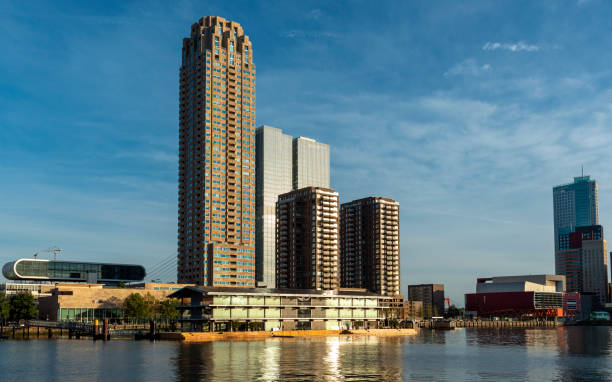 Rijnhaven, Rotterdam. the Netherlands. panoramic view of the Rotterdam skyline at the Rijnhaven, beautiful sunny morning. dutch architecture stock pictures, royalty-free photos & images