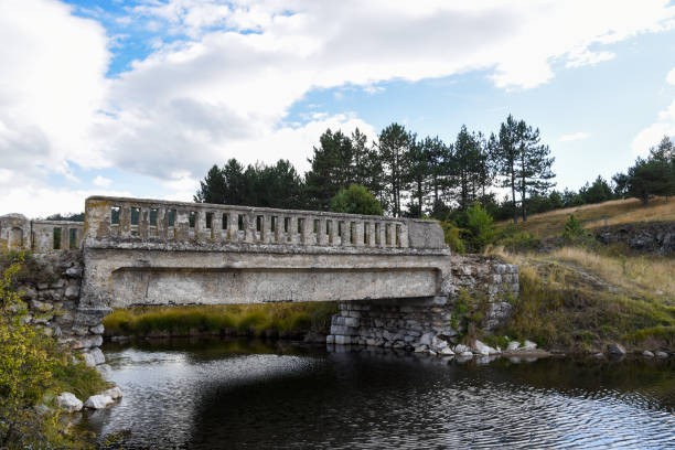 istock Old bridge on the river on the mountain Zlatibor 1356984568
