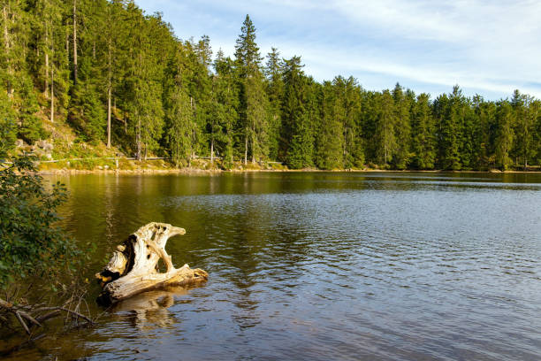 istock The circular karst lake Mummelsee 1356987919
