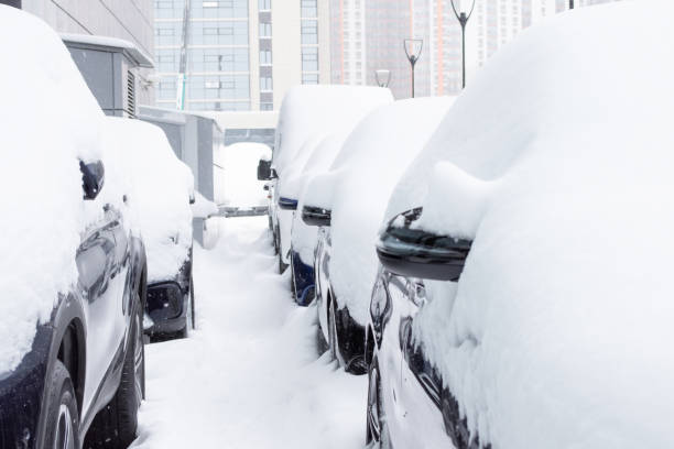 istock Cars covered with fresh white snow after storm. 1356988115