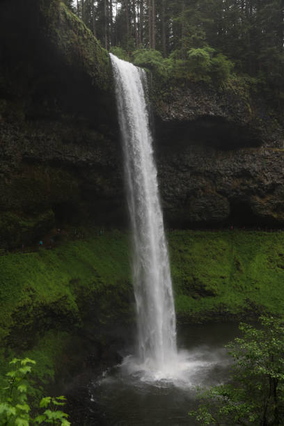 istock South Falls, Silver Falls State Park, Oregon 1356989625