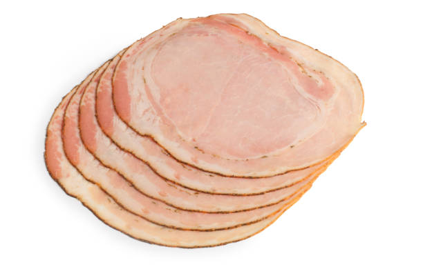 istock Porchetta on White 1356990419