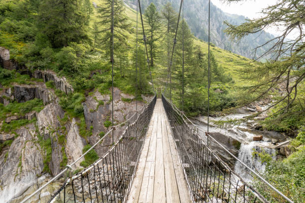istock Suspended bridge in the forest above waterfalls 1356990672