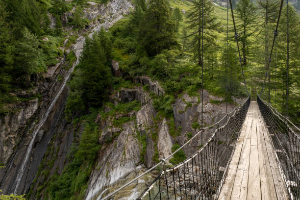 istock Suspended bridge in the forest above waterfalls 1356990711