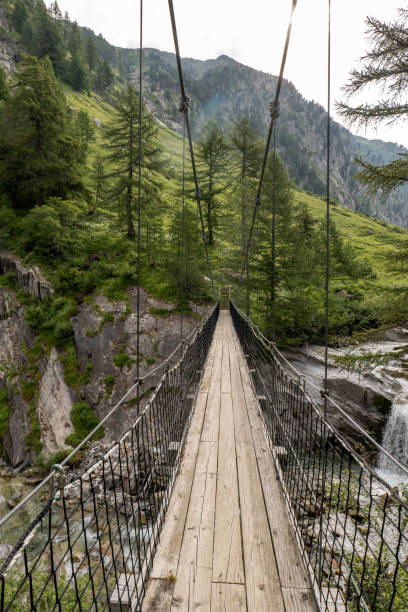 istock Suspended bridge in the forest above waterfalls 1356990768