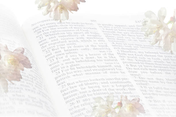 Opaque Cherry Blossom Flowers Around the Book of James Bible Verses Opaque Cherry Blossom Flowers Around the Book of James Bible Verses verses stock pictures, royalty-free photos & images