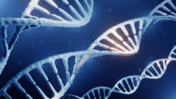 DNA DNA double helix, Genetics concept gene therapy stock pictures, royalty-free photos & images