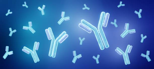 Antibodies Antibodies 3d illustration viral antigen stock pictures, royalty-free photos & images