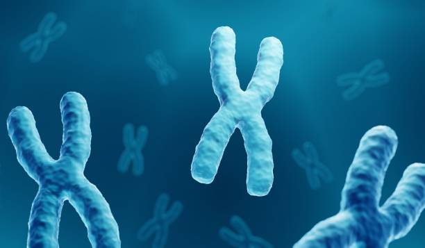 Chromosomes Chromosomes 3d illustration chromosome stock pictures, royalty-free photos & images