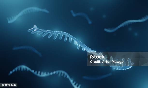 Micro Rna Stock Photo - Download Image Now - RNA, Messenger RNA, Magnification