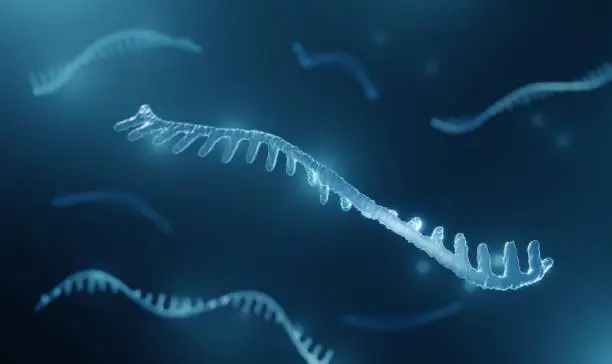 Micro RNA molecule illustration