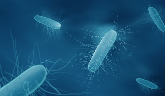 3d illustration of clostridium bacteria
