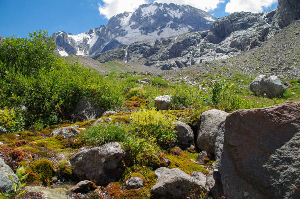 Hiking in mountains of Caucasus. Adyrsu Gorge. At foot of Mount Ullu-Tau. Scenic summer landscape. Nature and travel. Russia, Kabardino-Balkaria