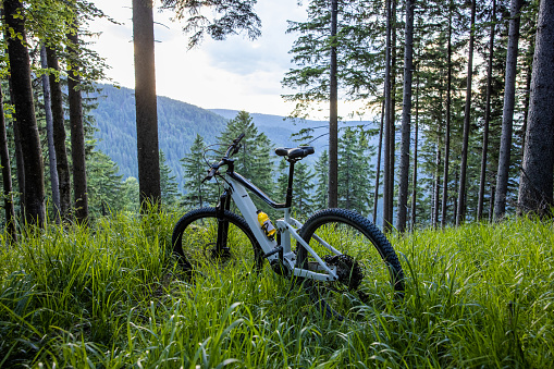 Electric mountain bike in the forest
