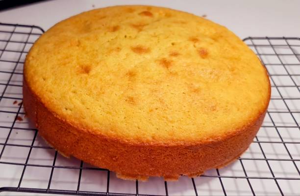 istock Delicious fresh homemade sponge cake. Butter cake 1356999722