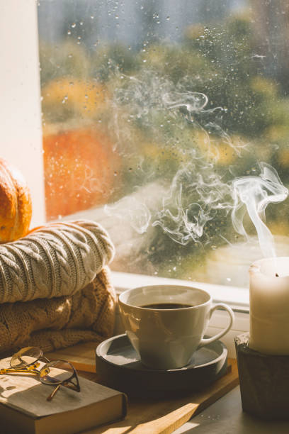 istock autumn morning. cozy home. warm plaid. 1357004933