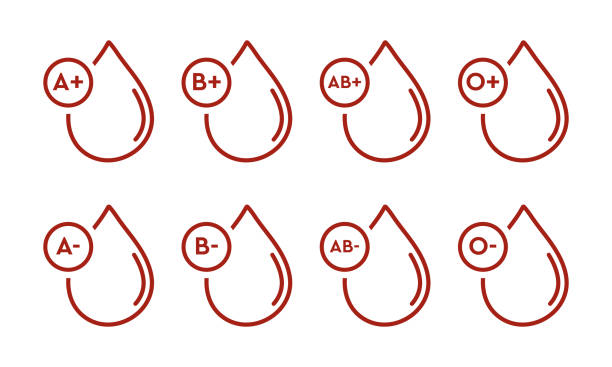 50+ O Positive Blood Stock Illustrations, Royalty-Free Vector Graphics &  Clip Art - iStock