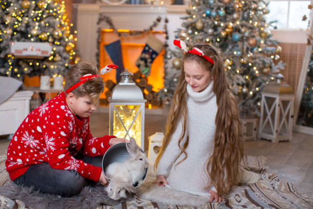 男の子と女の子は、2つのかわいいクリスマスバニーが座っているギフトボックスを開けました。新年の装飾 - 暖炉、花輪とクリスマスツリー - gift little boys people blond hair ストックフォトと画像