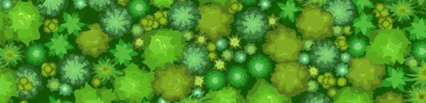 Beautiful summer landscape with trees. View from above. Horizontal Illustration in a flat style. Scenarios from above. Mixed forest. Cartoon design. Vector.