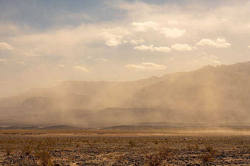 Cars Pass Through A Sandstorm at Devils Cornfield In Death Valley