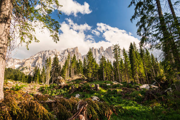 lake Carezza, Bozen, Italy nature sceneries around Lake Carezza, Dolomites, Italy catinaccio stock pictures, royalty-free photos & images