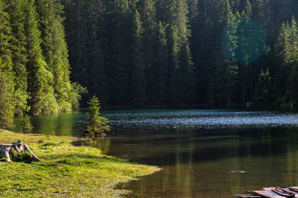 istock lake Carezza, Bozen, Italy 1357020467