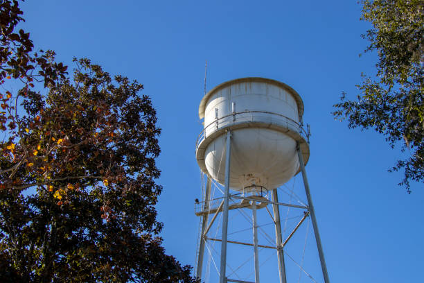 istock A municipal water tower rises between oak and magnolia trees 1357021262