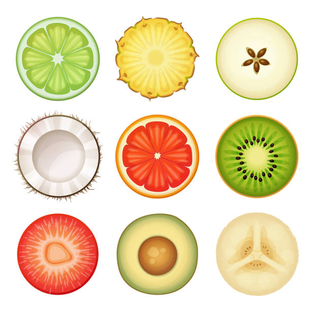 ilustraciones, imágenes clip art, dibujos animados e iconos de stock de mitades redondas de frutas iconos vectoriales aislados sobre fondo blanco. lima fresca, piña, manzana verde, coco, pomelo, kiwi, fresa, aguacate, corte de plátano ilustración de dibujos animados - kiwi vegetable cross section fruit