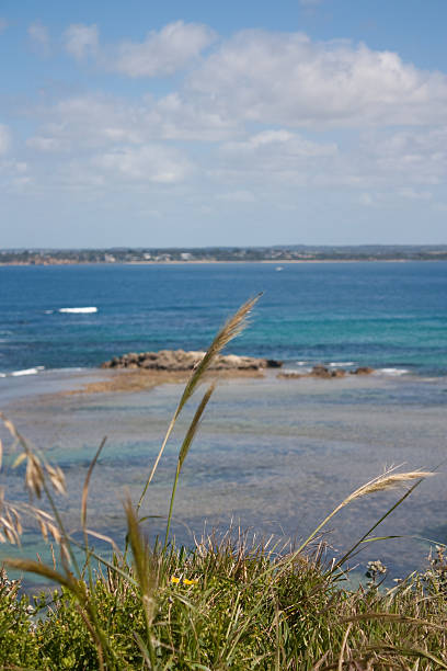 istock Sea Landscape,Victoria,Australia. 135702889