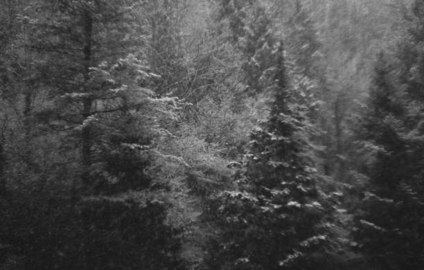 istock Melancholy image of winter nature 1357034832