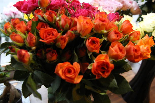 istock Orange Rose Detail 1357035138