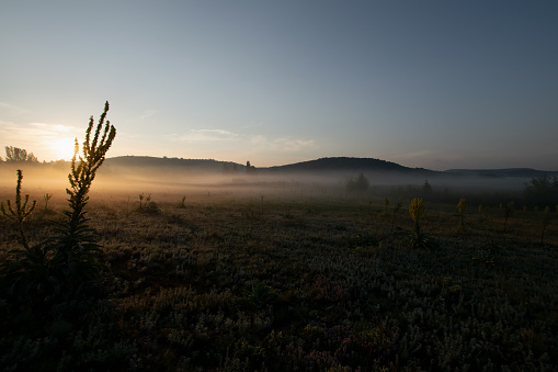 A rural sunrise in the morning mist.